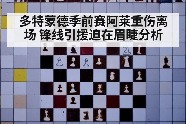 多特蒙德季前赛阿莱重伤离场 锋线引援迫在眉睫分析